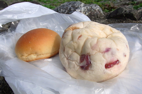 blog_pic6245.jpg