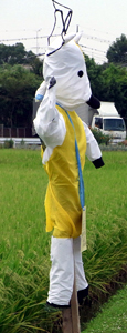 blog_pic6478.jpg