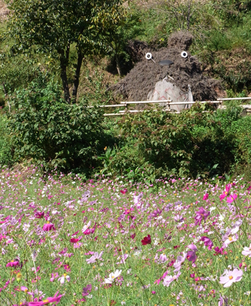 blog_pic6493.jpg
