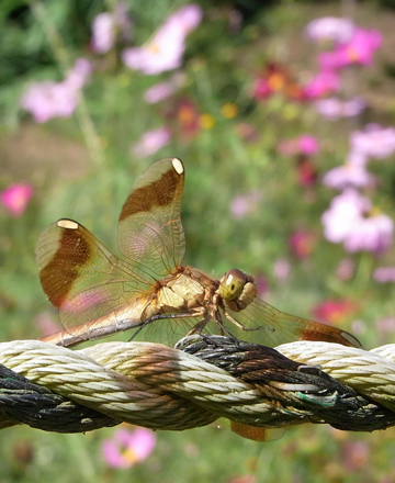 blog_pic6494.jpg