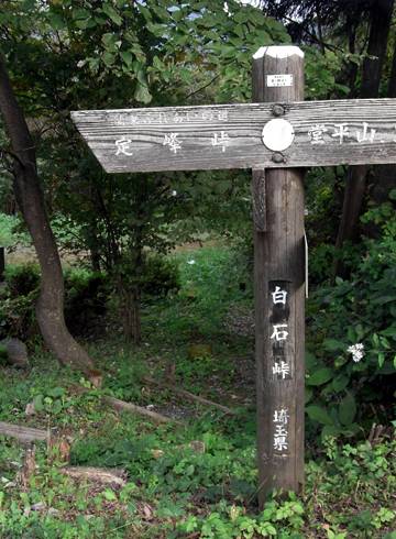 blog_pic6496.jpg