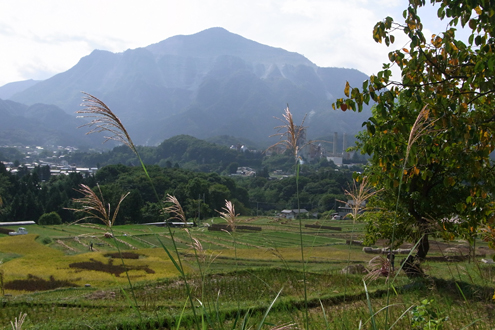 blog_pic6497.jpg