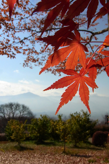 blog_pic6680.jpg