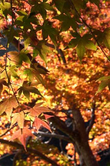 blog_pic6689.jpg