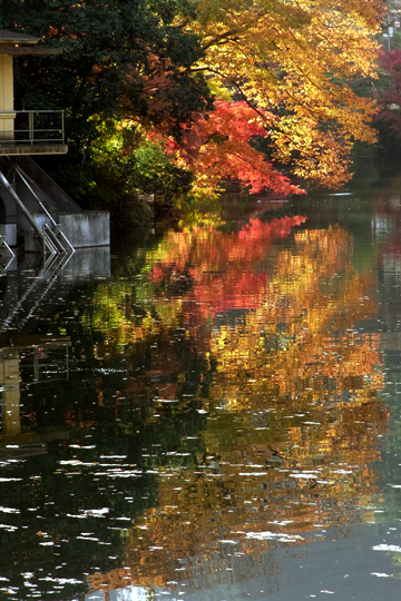 blog_pic6690.jpg