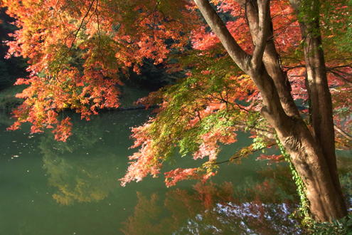 blog_pic6691.jpg