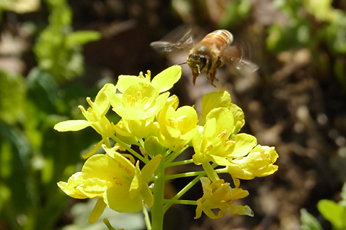 blog_pic7081.jpg