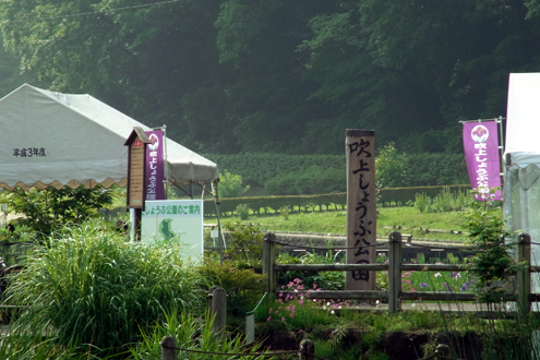 blog_pic7405.jpg