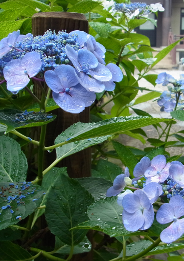 blog_pic7422.jpg
