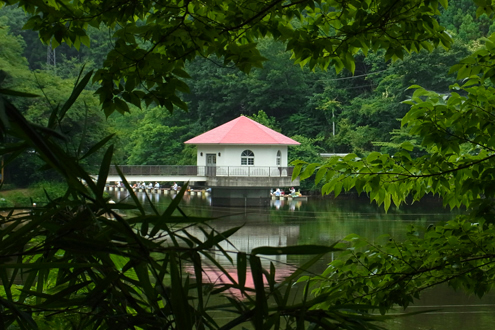 blog_pic7475.jpg