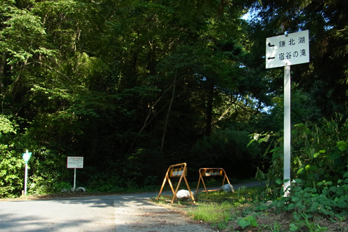 blog_pic7484.jpg