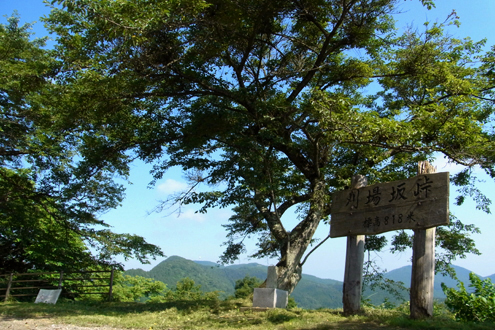 blog_pic7485.jpg