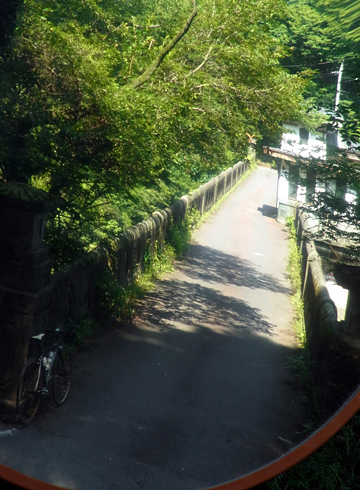 blog_pic7534.jpg