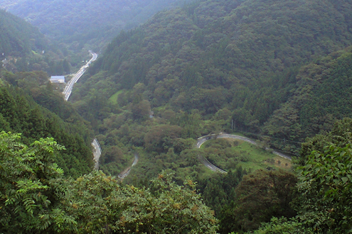 blog_pic7688.jpg