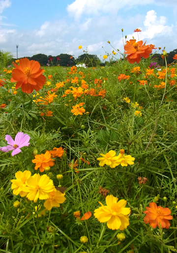 blog_pic7690.jpg