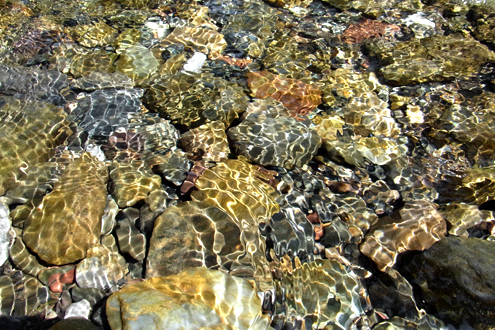 blog_pic7696.jpg