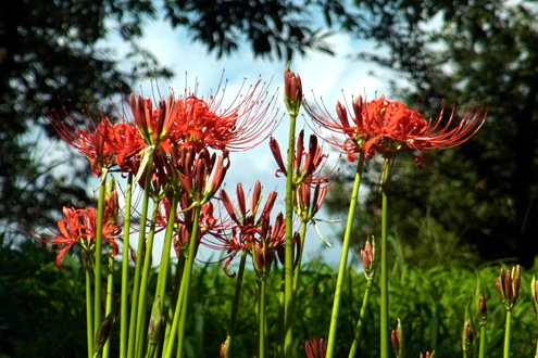 blog_pic7698.jpg