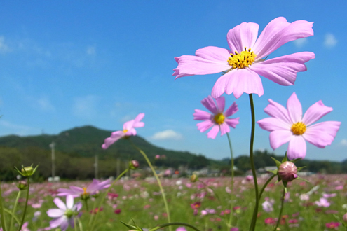 blog_pic7699.jpg