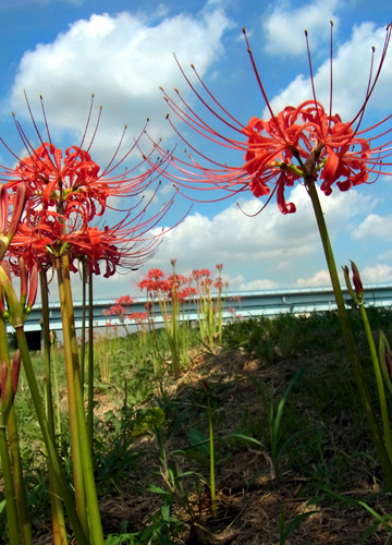 blog_pic7703.jpg