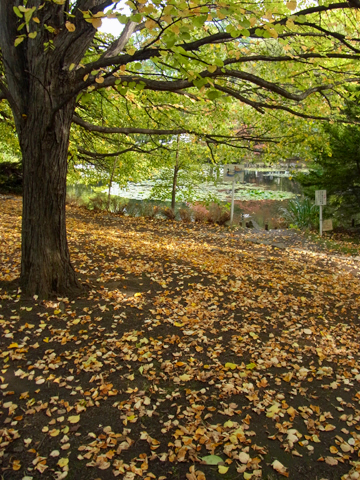 blog_pic7792.jpg