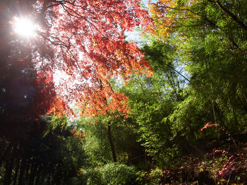 blog_pic7975.jpg