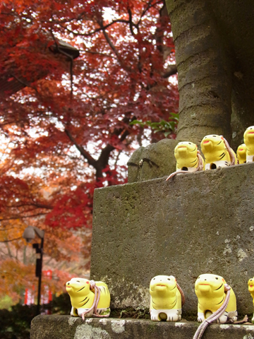 blog_pic7979.jpg