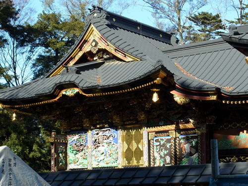 blog_pic8007.jpg