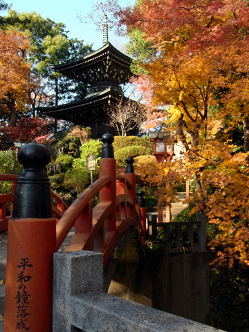 blog_pic8008.jpg