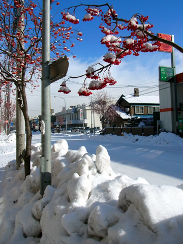 blog_pic8026.jpg