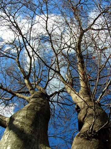 blog_pic8053.jpg