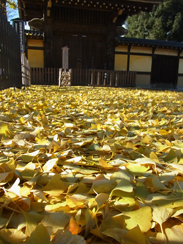 blog_pic8055.jpg