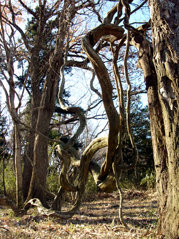 blog_pic8094.jpg