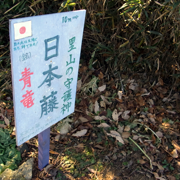 blog_pic8095.jpg