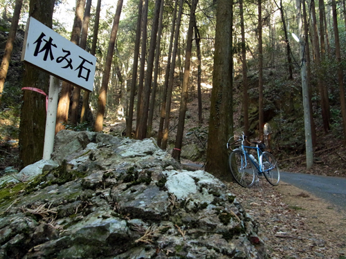 blog_pic8104.jpg