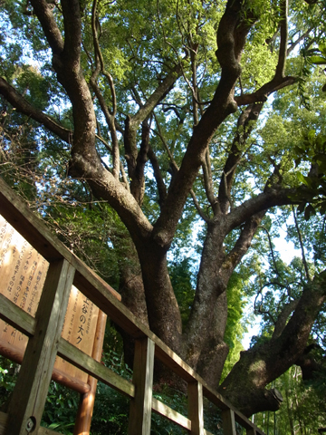 blog_pic8117.jpg