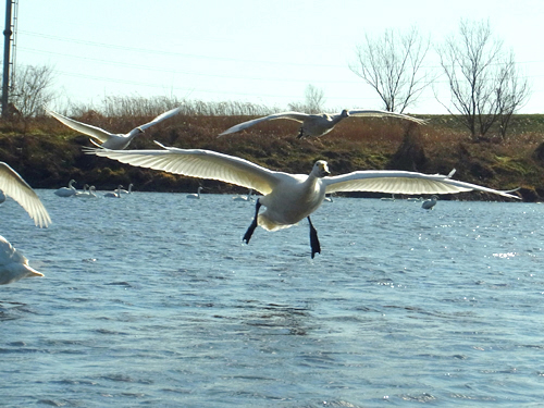 blog_pic8122.jpg