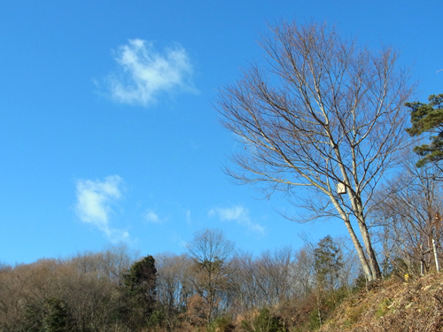 blog_pic8123.jpg