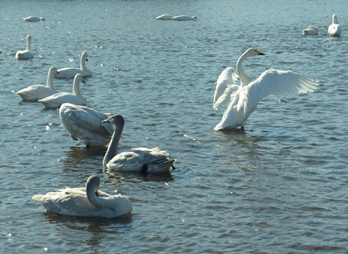 blog_pic8129.jpg