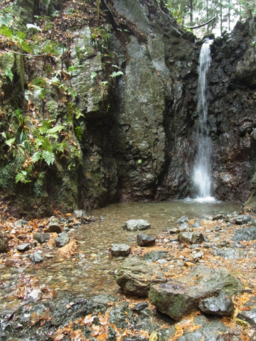 blog_pic8187.jpg