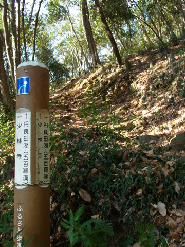 blog_pic8214.jpg