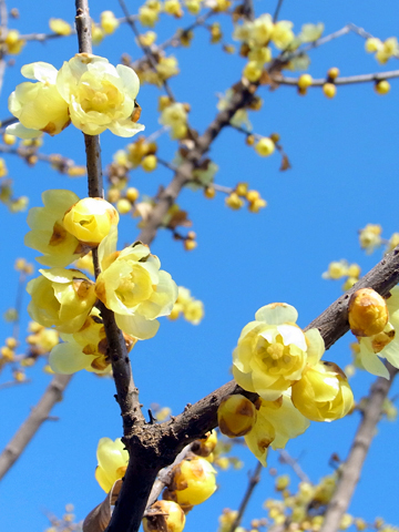 blog_pic8229.jpg