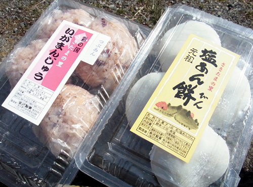 blog_pic8289.jpg