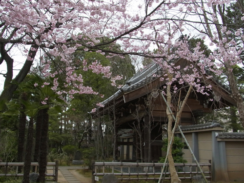 blog_pic8330.jpg