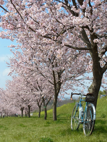 blog_pic8343.JPG