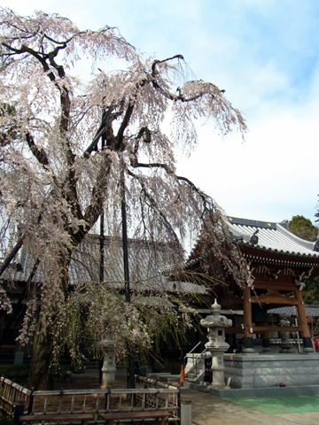 blog_pic8350.JPG