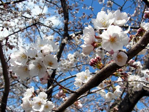 blog_pic8353.JPG
