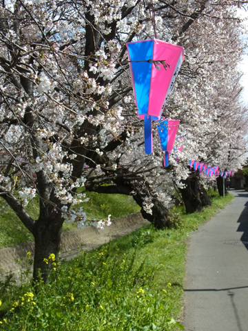 blog_pic8354.JPG