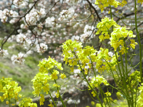 blog_pic8355.JPG