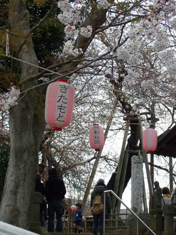 blog_pic8360.JPG