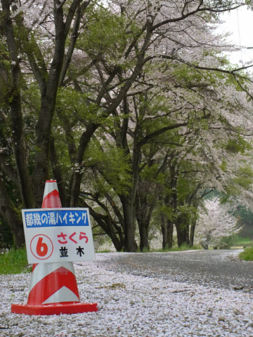 blog_pic8377.JPG